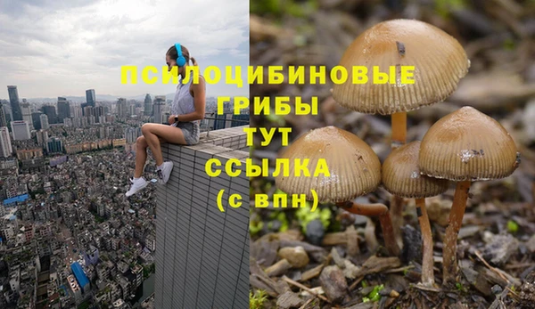 кокаин премиум Алексеевка