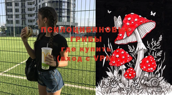 apvp Алзамай