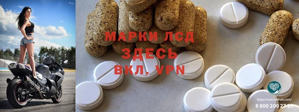 apvp Алзамай