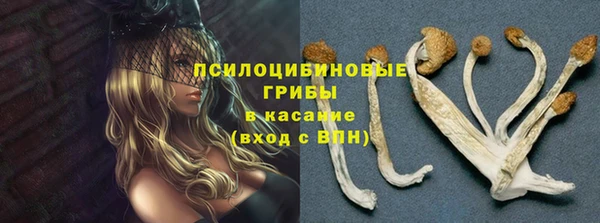 apvp Алзамай