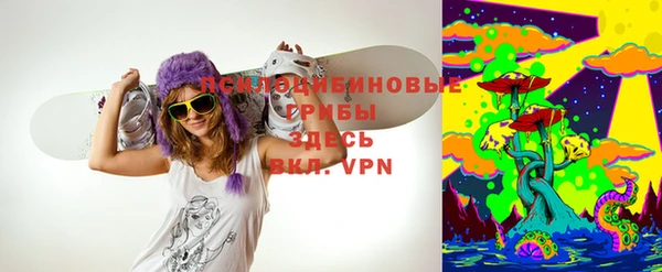 apvp Алзамай