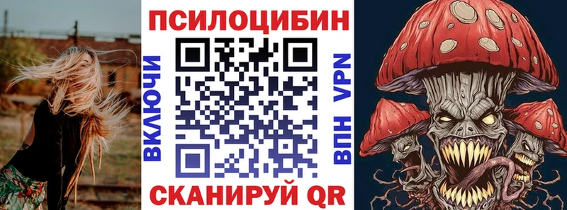 Галлюциногенные грибы Psilocybine cubensis  дарнет шоп  блэк спрут зеркало  Аргун 
